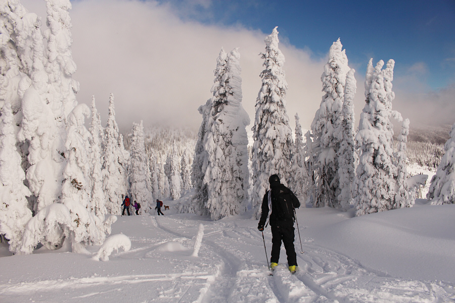 Time for some downhill fun!