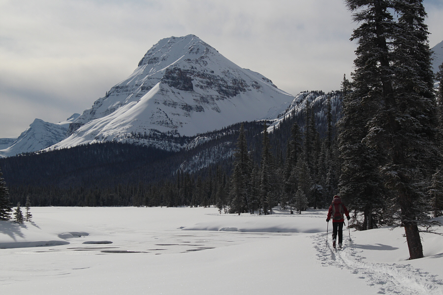 Beautiful! What do we need to go up to the pass for?