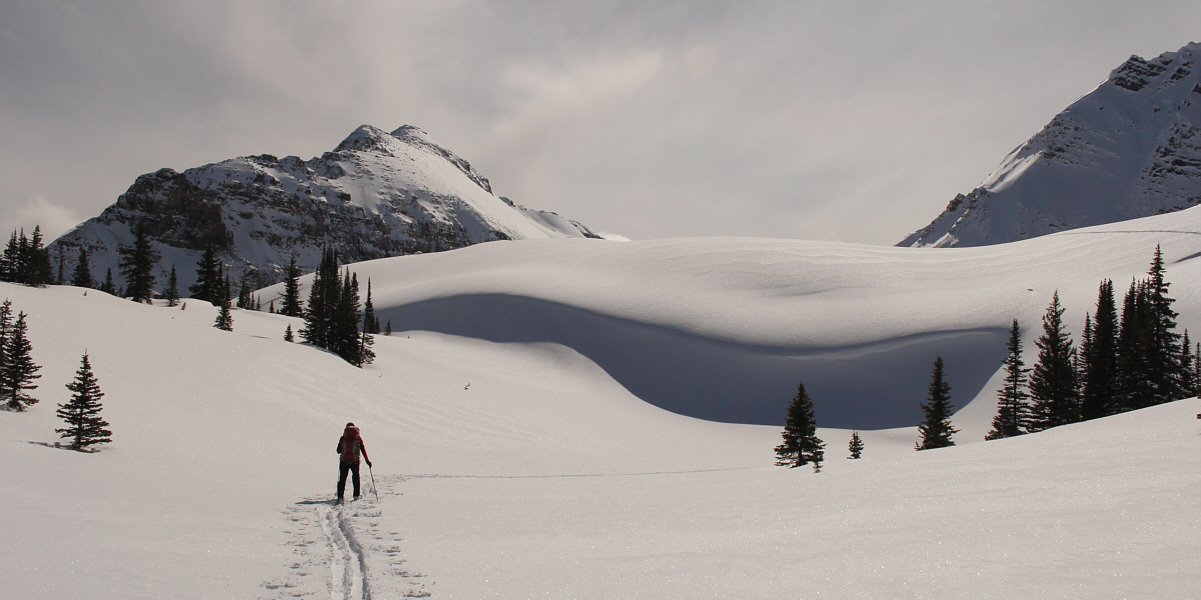 Catch a wave and you're sitting on top of the world!