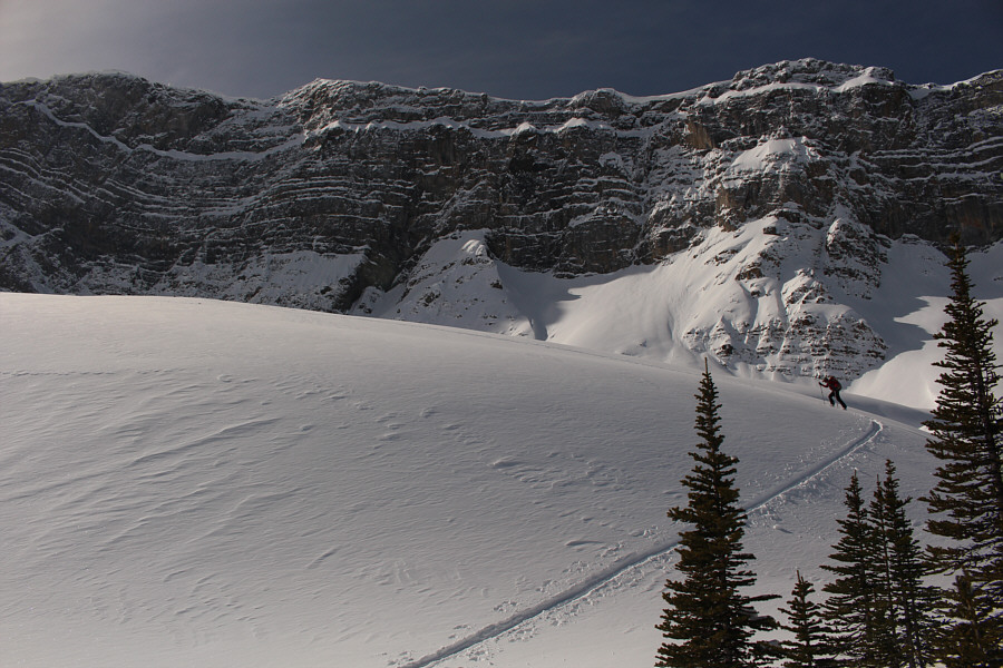 Zosia is a climbing machine!