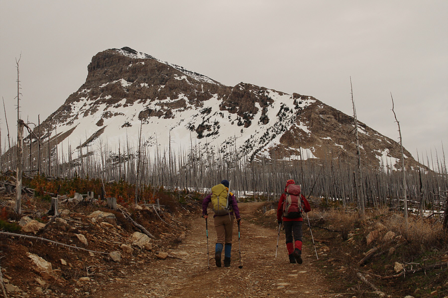 We added about 3.5 kilometres to our round-trip distance.