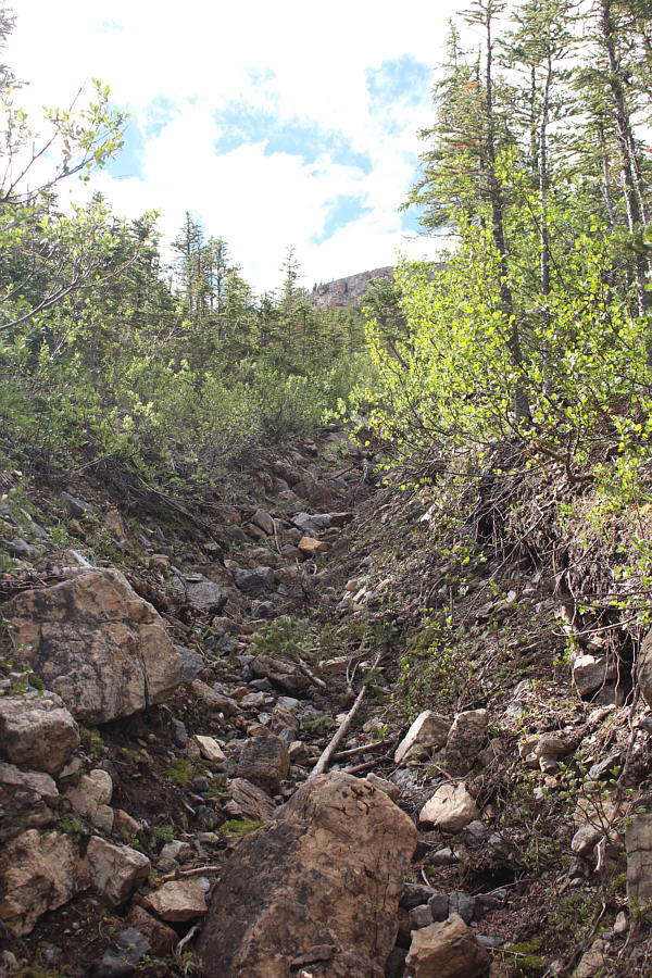 More annoying mosquitoes here!