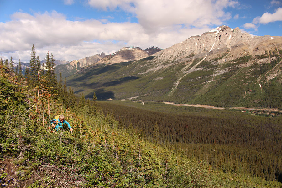 Lesson learned: Going up a mosquito-filled gully is still better than thrashing through the trees!