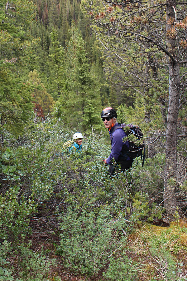 Let's just get this over and done with!