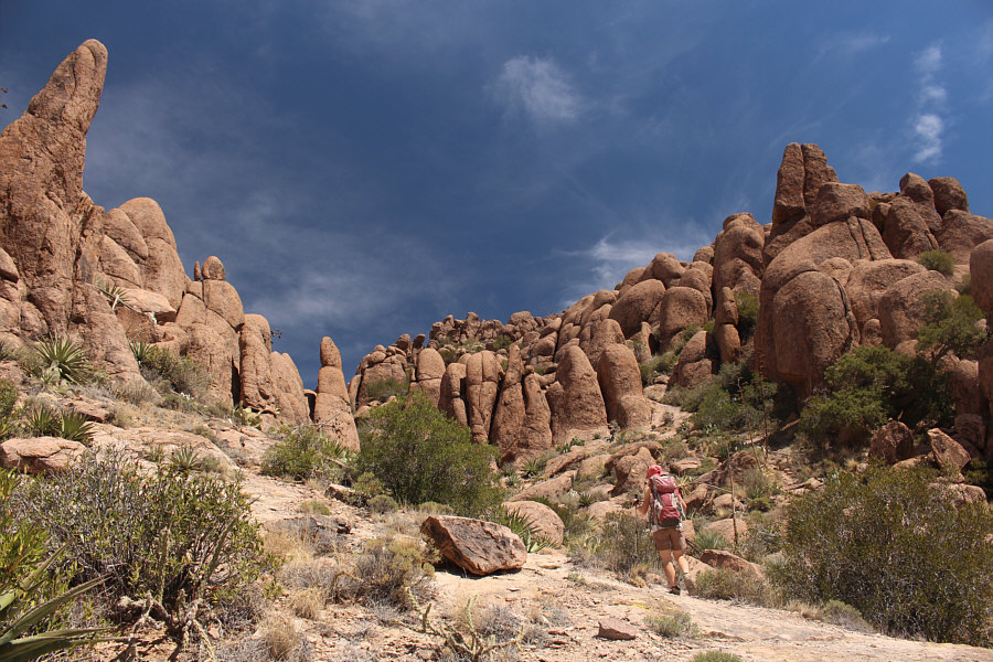 Zosia is the Maze Runner!