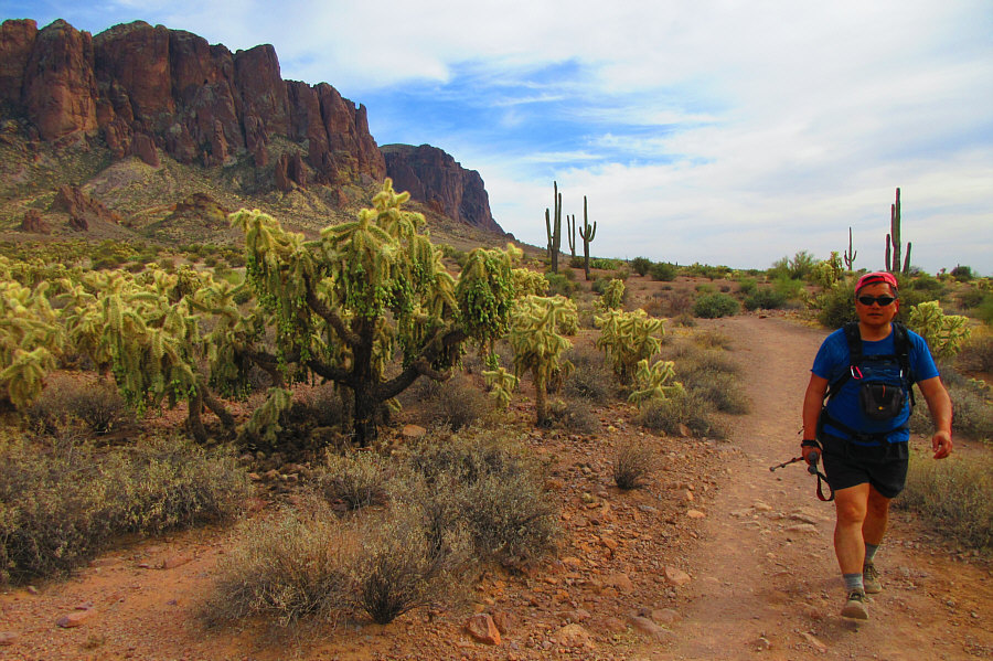 Beautiful but deadly...the cholla, that is!