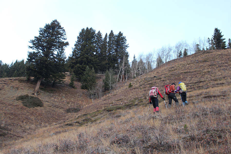 Good way to warm up!