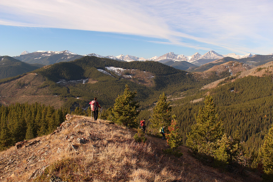 We could hear logging activity coming from across the valley.
