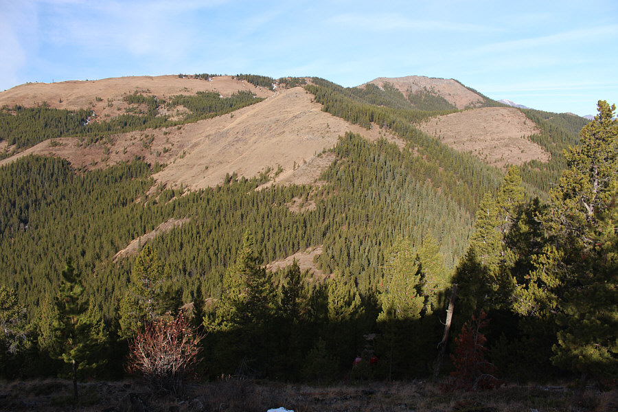 Stay left of the clearcut at the bottom of this drop.