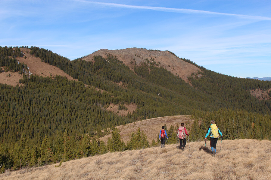 I saw a white weasel somewhere in the trees below the open slope!