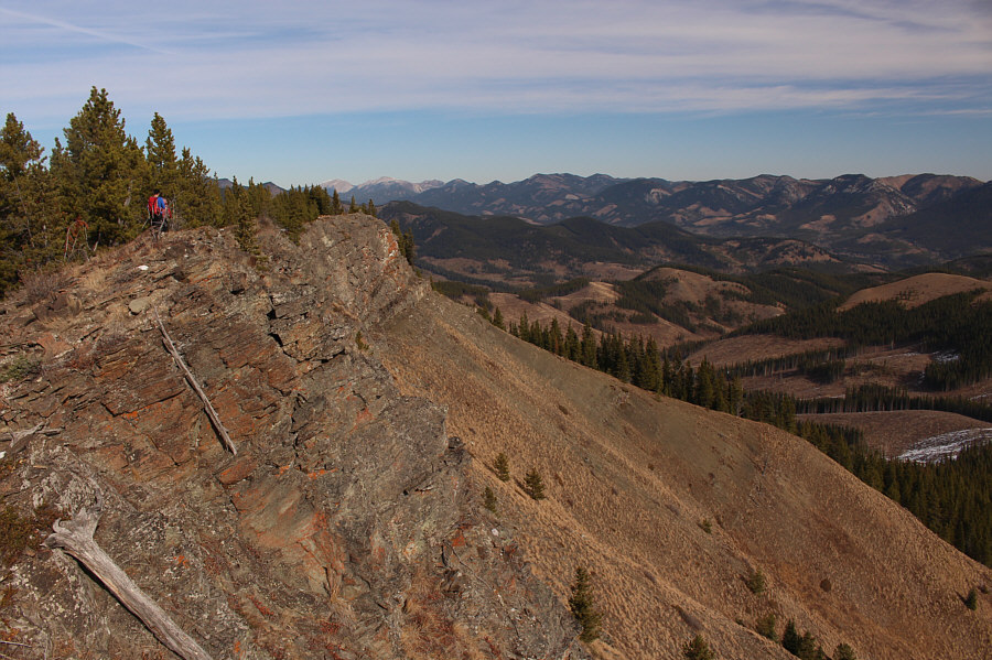 My GPS map is a bit off here and shows the summit somewhere off to the left past the trees!