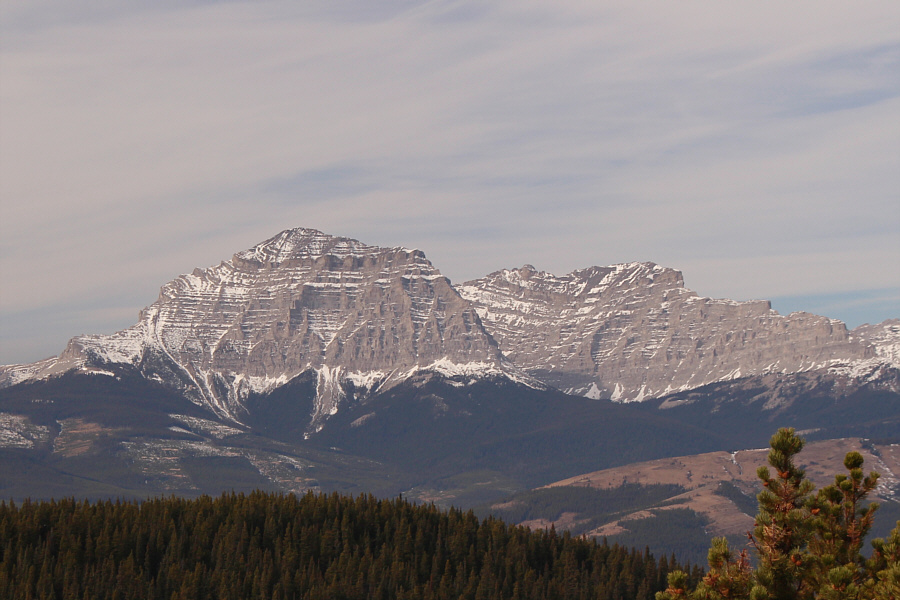 I might try this one next summer...