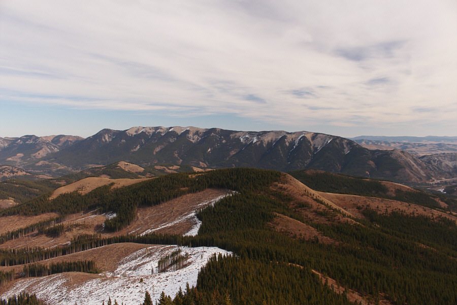 I wonder if the Dutch guy is still manning the lookout in the summer...
