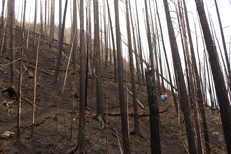 Entering the "death zone"!