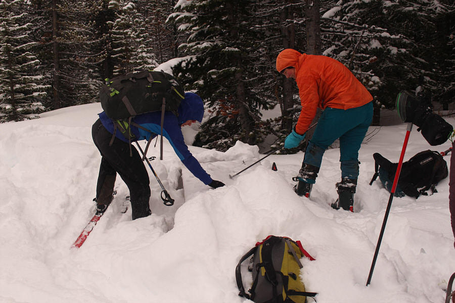 No one brought a shovel?