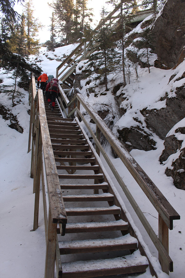 Couldn't we just take the elevator??