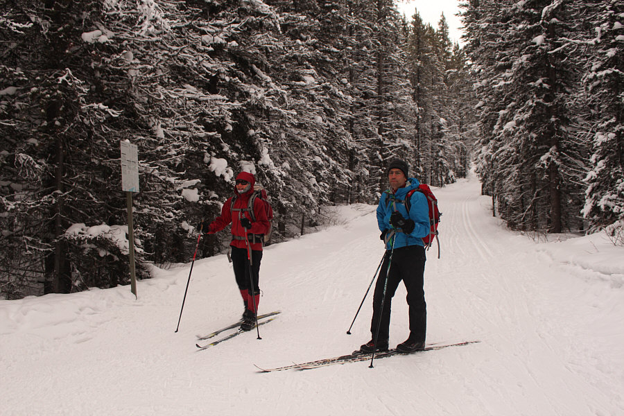 I always save the Elk Pass trail for the return with its kick-ass downhill run!