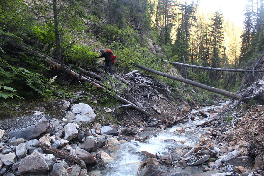 Mon dieu, there's a lot of water flowing in this creek!