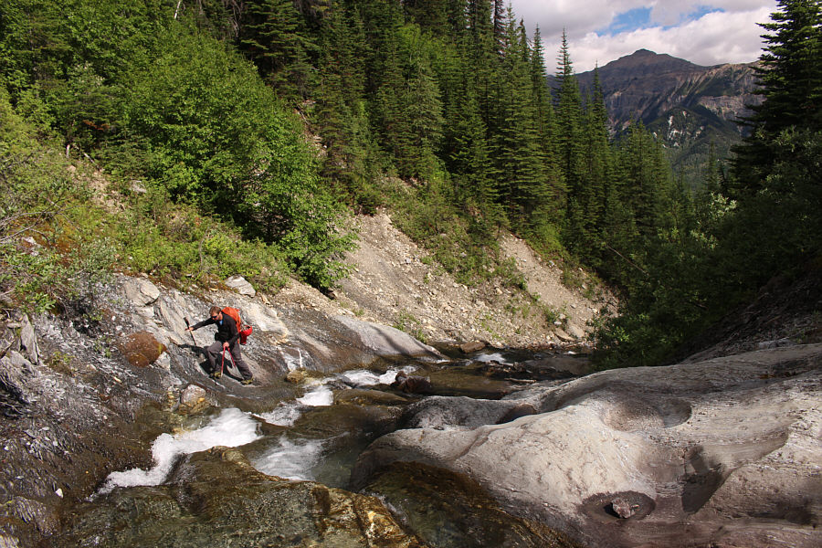 I'm mentally numb...