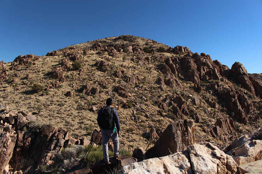 And I'm looking up at the second false summit!