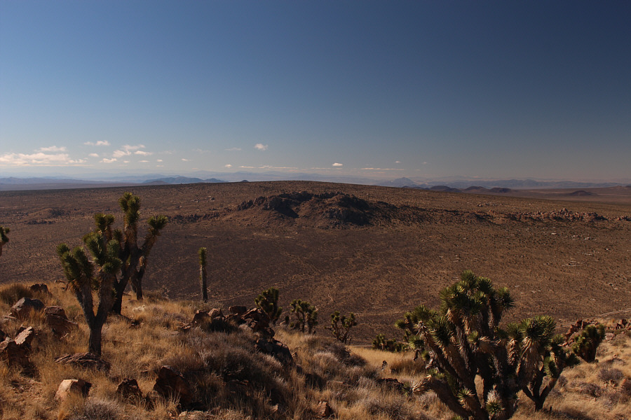 Let's go squeeze that pimple!