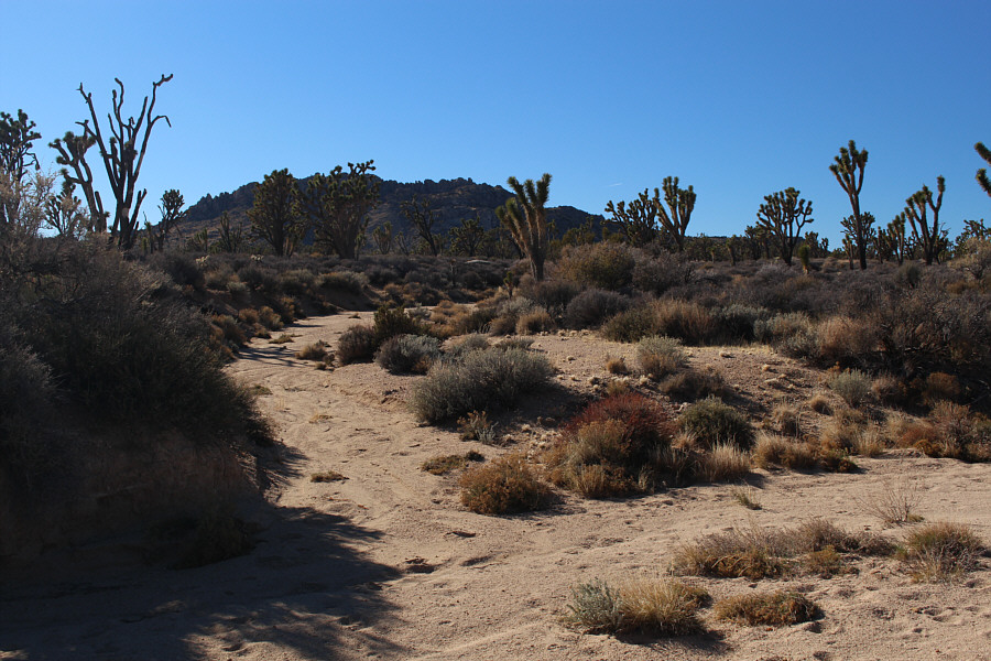 Unfortunately, most of them peter out after only a short distance...