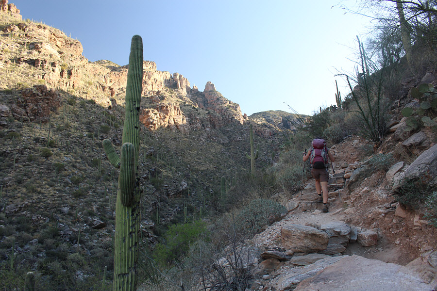 At least we're climbing in the shade...for now!