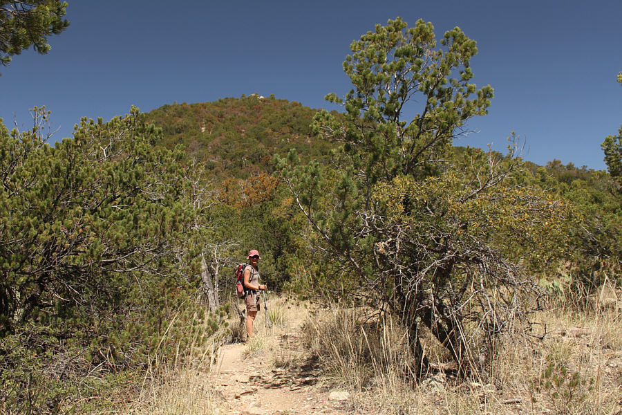 Actually, the shade from the trees was very welcome at this point in the day.