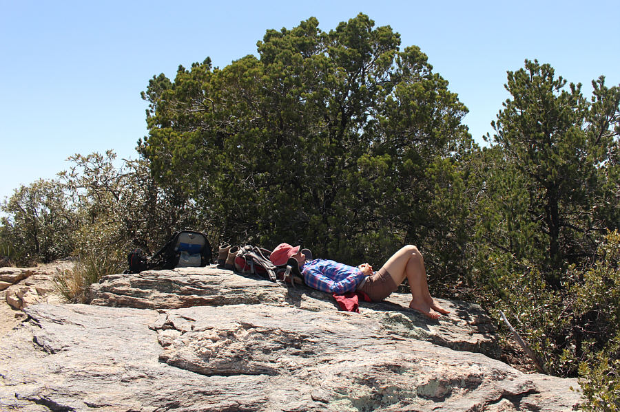 Zzzzzzzzzzzzzzzzzzzzzzzzzzzzzzzzz...