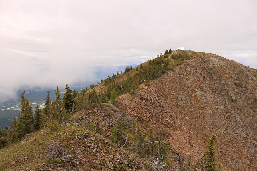 In case you had to take a second crap already!