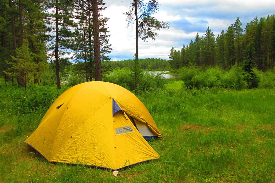 Surprisingly, there were no mosquitoes here!