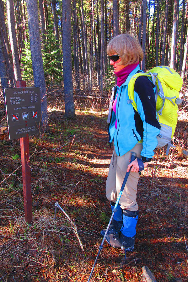 And no dogs allowed!