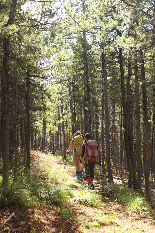 Great for really hot days!