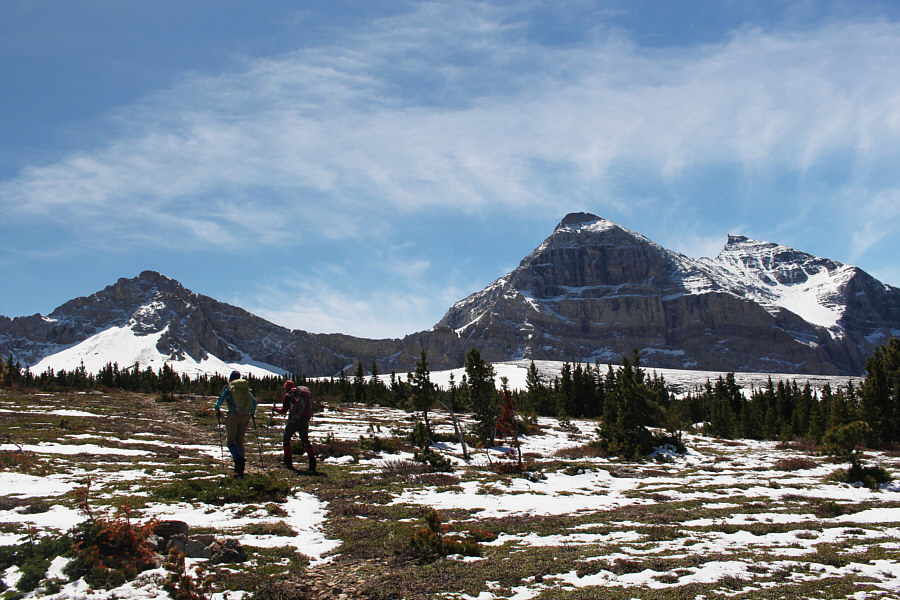 Things are looking up, now!