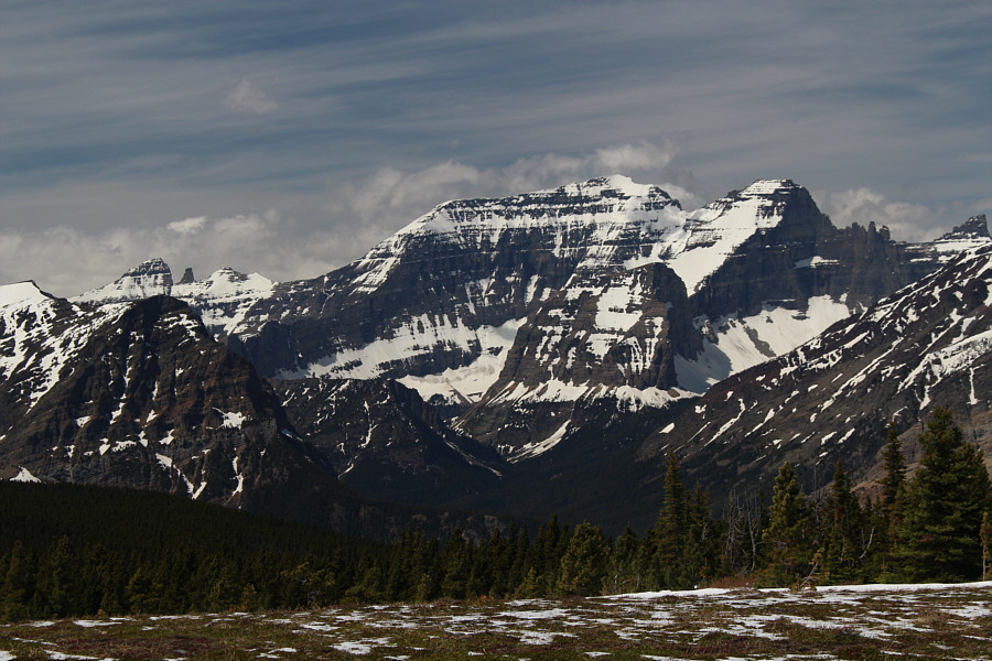 There are bears up there too!