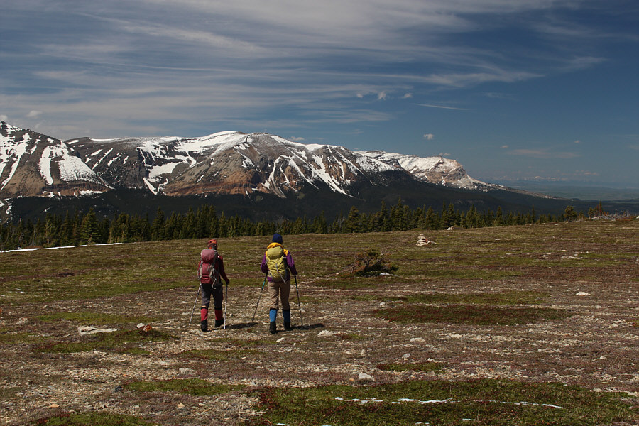 This was roughly where the grizzly bear was before it took off to the trees at far left.