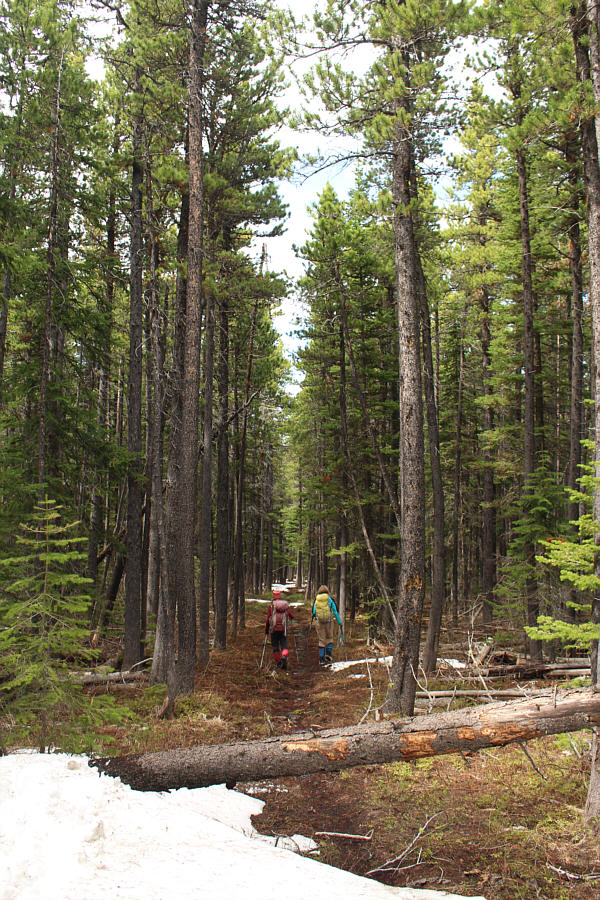 A good opportunity to meditate...