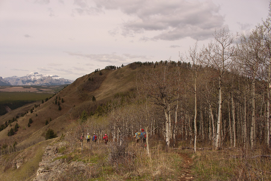 Getting into the meat of the hike!