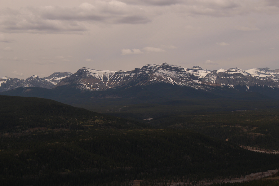 I still haven't climbed either!