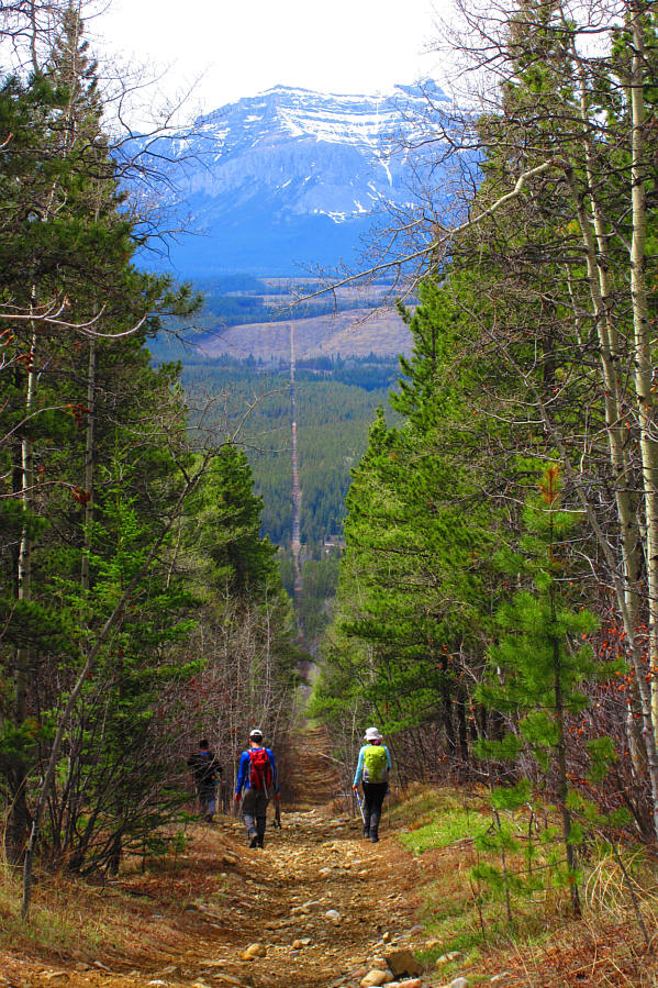 Looks like this would be an awesome toboggan run in winter!