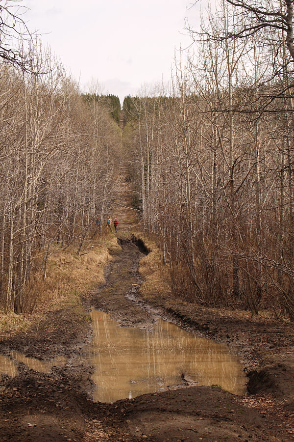 A good place to hold a "Tough Mudder" run!