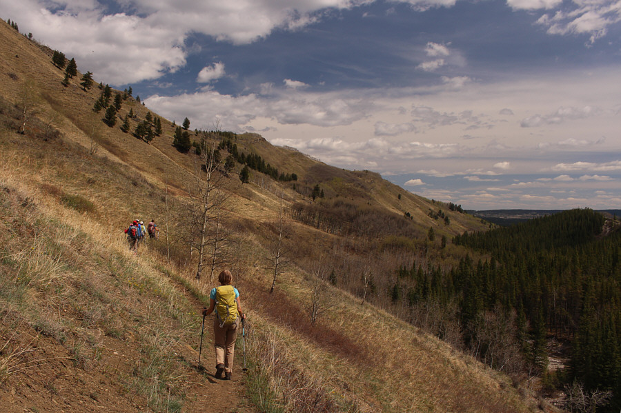 A very pleasant surprise, indeed!