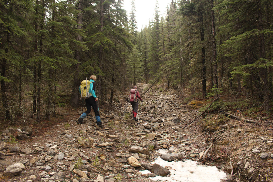 We would soon leave the creek bed and climb up the right bank.