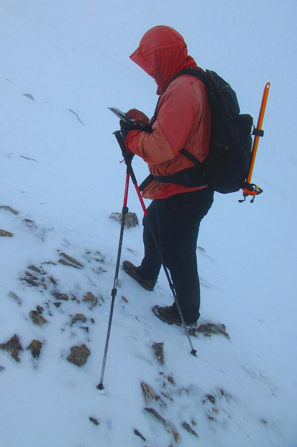 Hey, I got some new "likes" on Facebook!