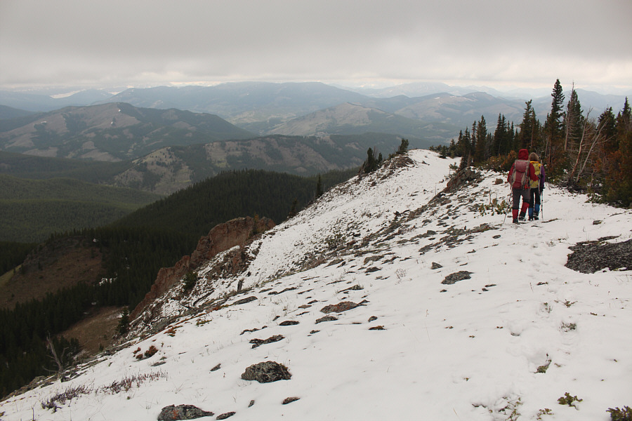 Oh well, it's better than nothing, I guess!