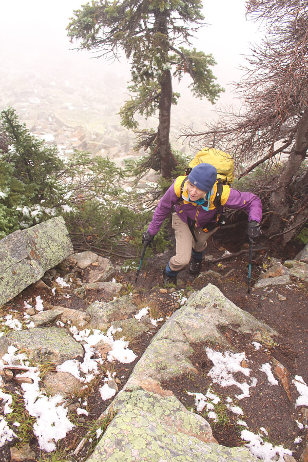 Look at the determination on that face!