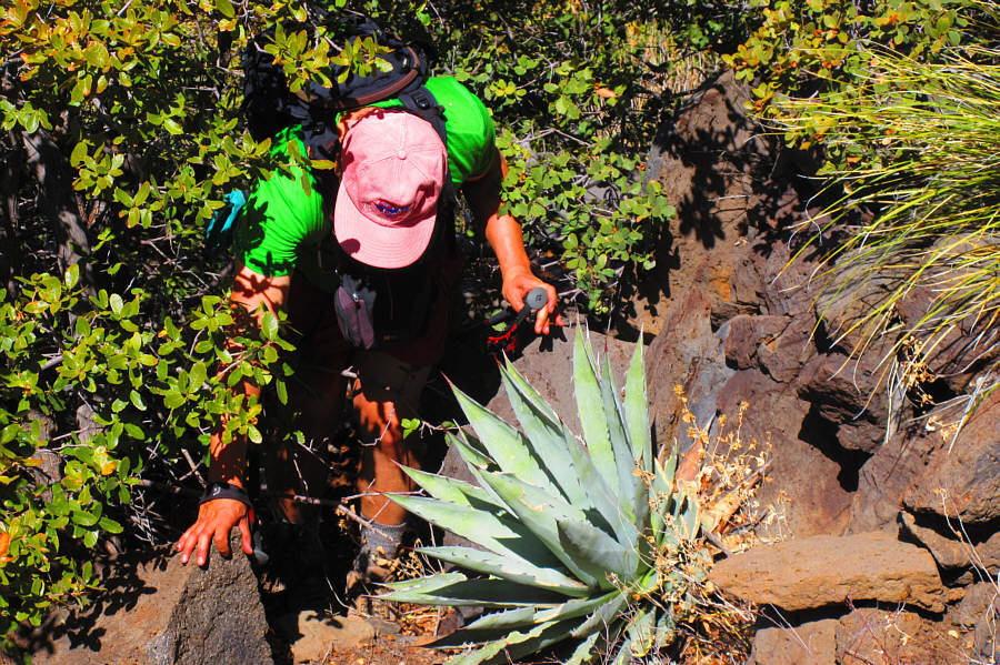 Okay, this is rather nasty!