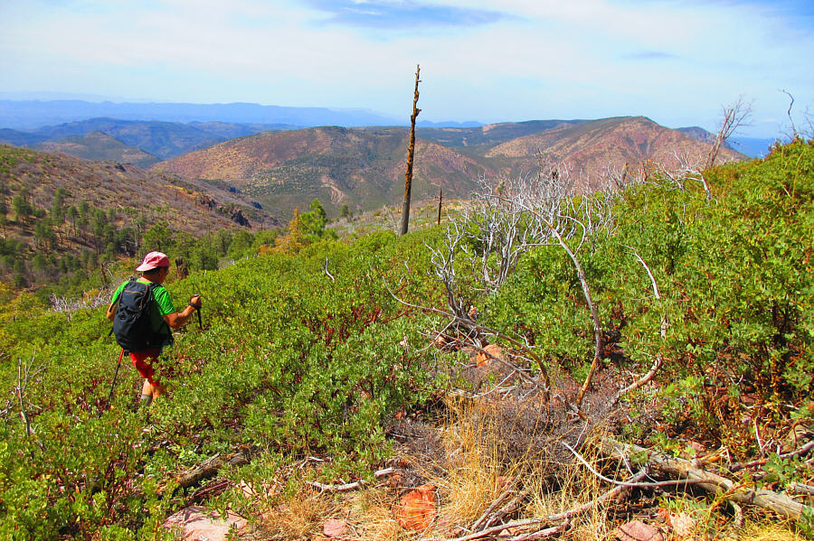 Maybe I should have put my long pants back on here...