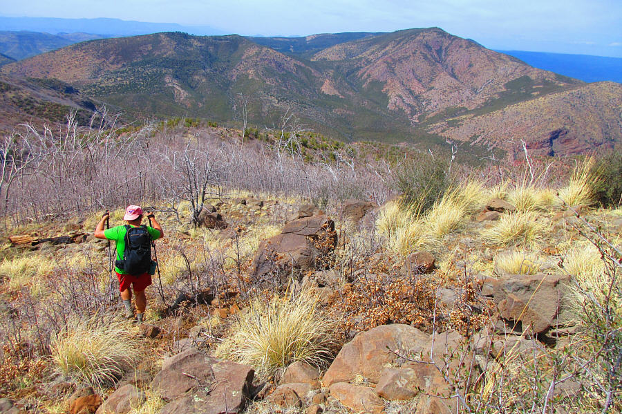 Unfortunately, the burnt trees are just as nasty to walk through as the live ones!