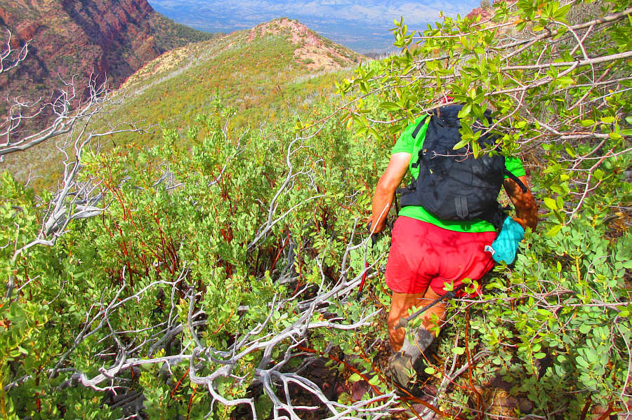 ARRRRRRRRRRRRRRGHHHHHHHHHHHHHH!!!!!!!!!!!!